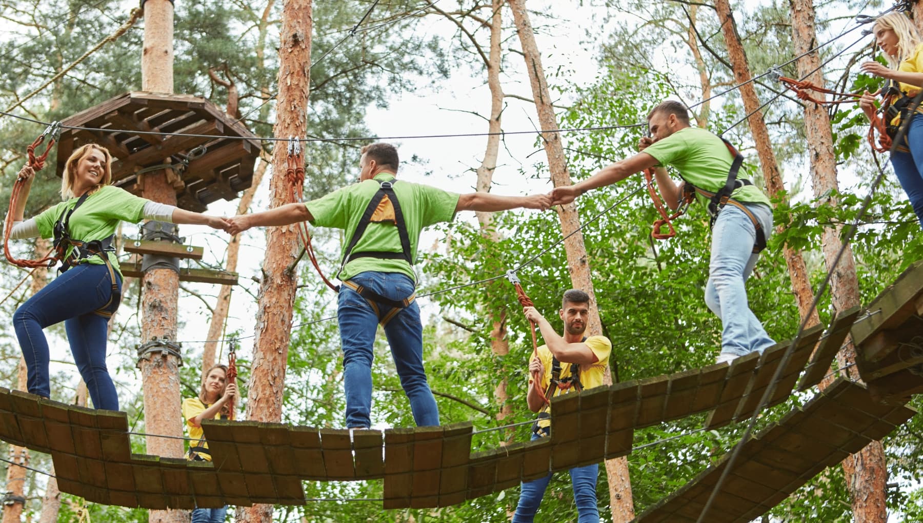 Holland Destination Management (DMC)