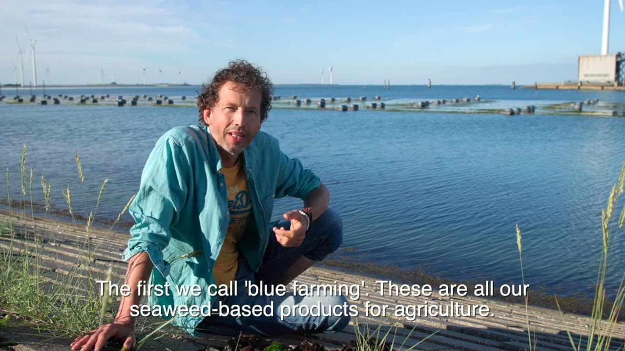 The Seaweed Company introduces ocean based solutions on land - Video thumbnail