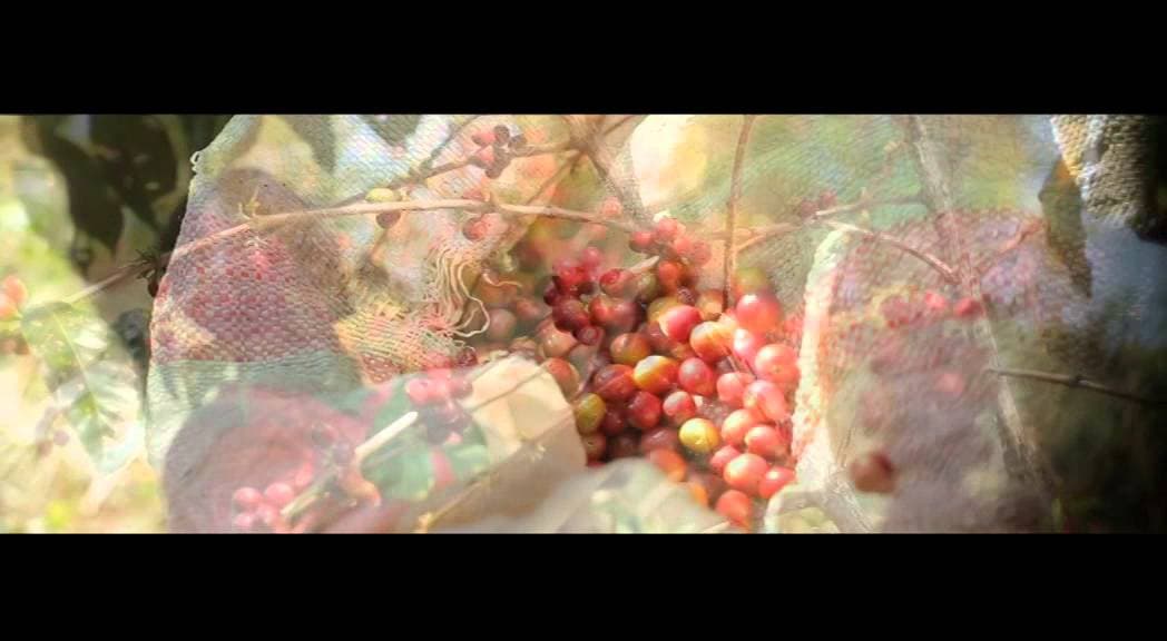 No title - Video thumbnail