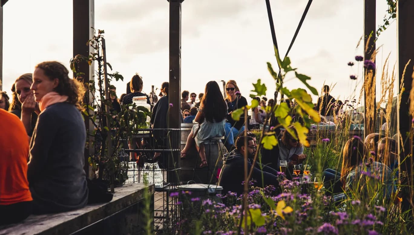 GAPP rooftop terrace with people