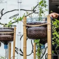 Mediamatic plant workshop