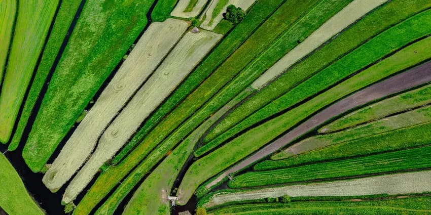 Aerial view of green waterways on Dutch landscape.