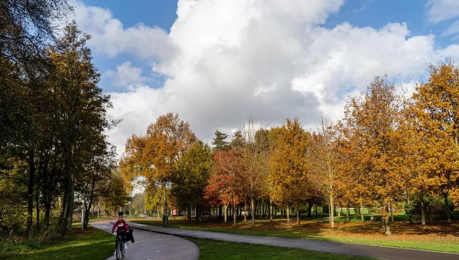 A child cycling through the Nelson Mandelapark.