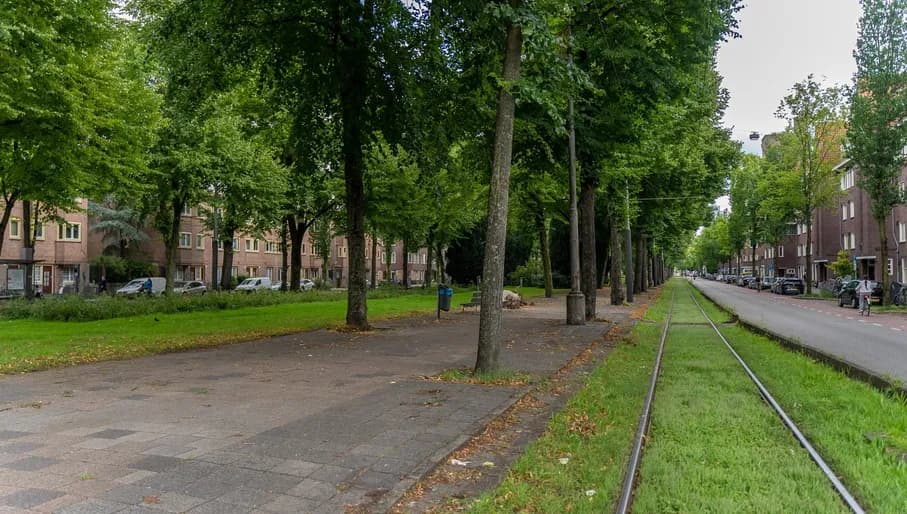 Churchilllaan in the summer, green trees