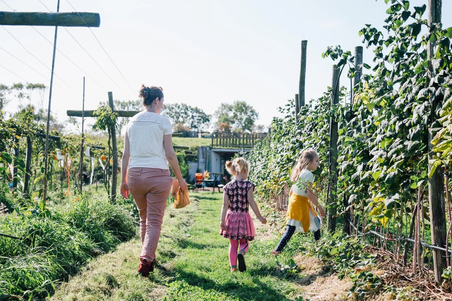 Family and kids picking fruit at Fruittuin van West