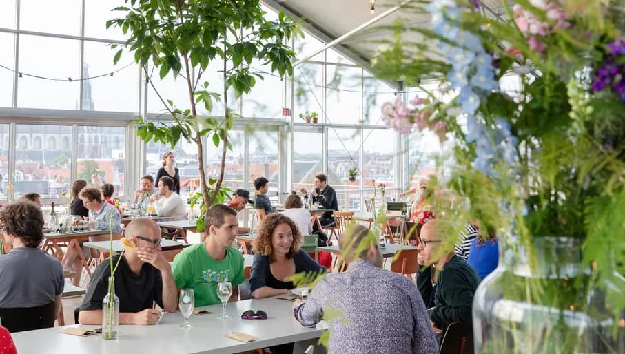 De Dakkas roof terrace restaurant Haarlem