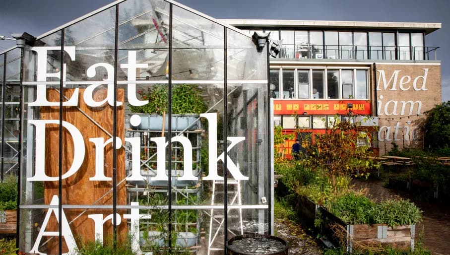 Mediamatic art centre greenhouse gardens