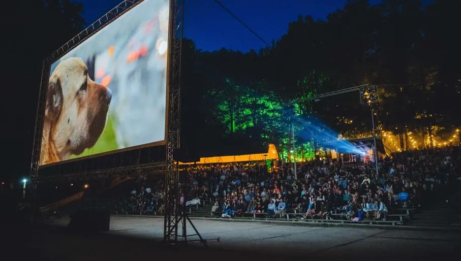 Cinetree Forest Film Festival, outdoor cinema movie in the woods Amsterdams Bostheater