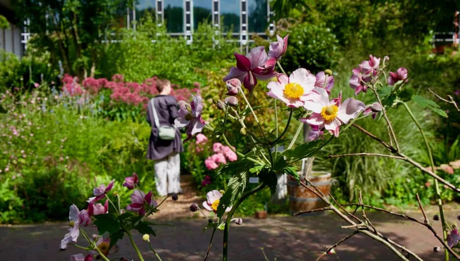 Person walking in Botanische Tuin Zuidas