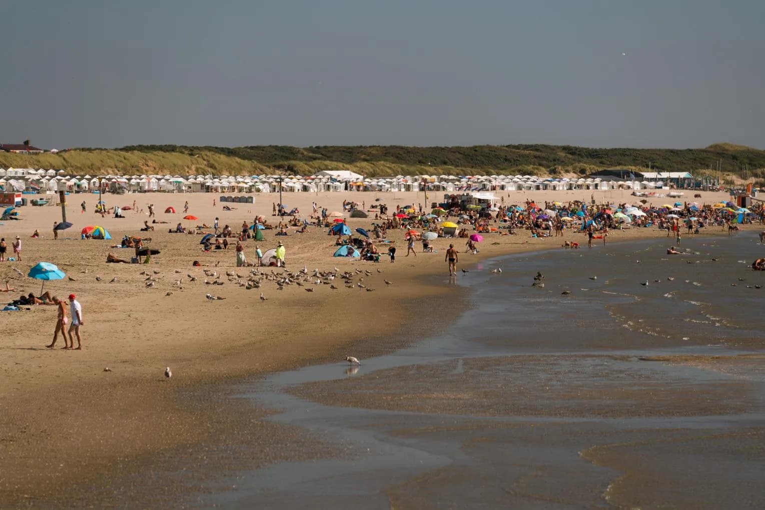 people at the Zuidpier beach