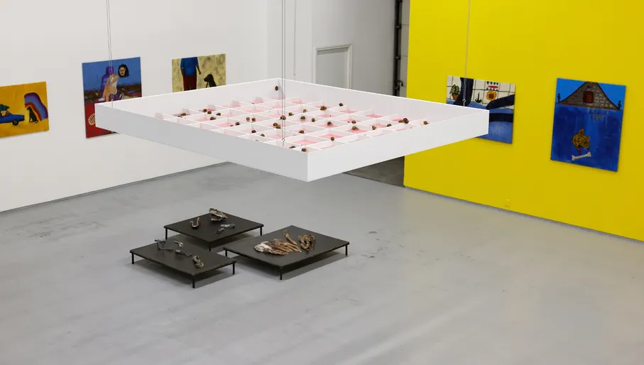 Nieuw Dakota exhibition installation