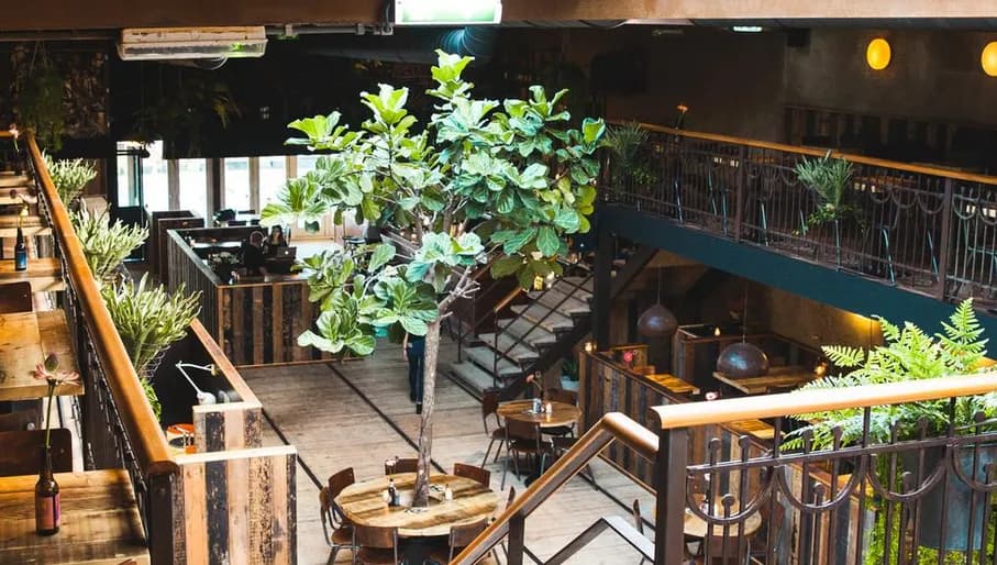 Inside the Cannibale Royale