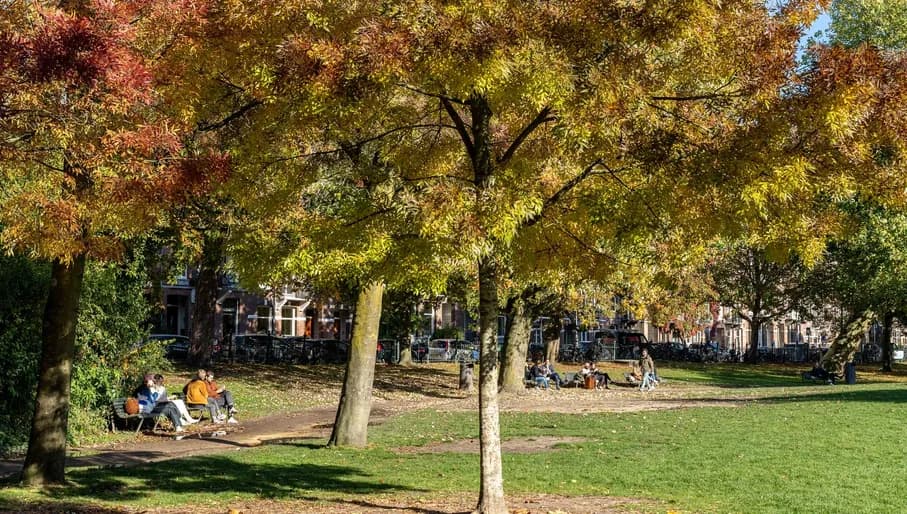 A beautiful day in the Sarphatipark. People sitting on a bench enjoying the sun.