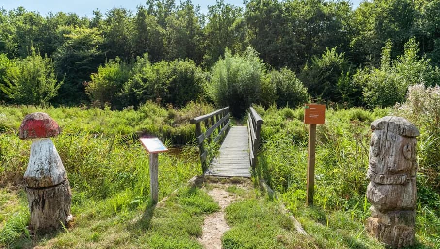 Het Purmerbos near Purmerend.