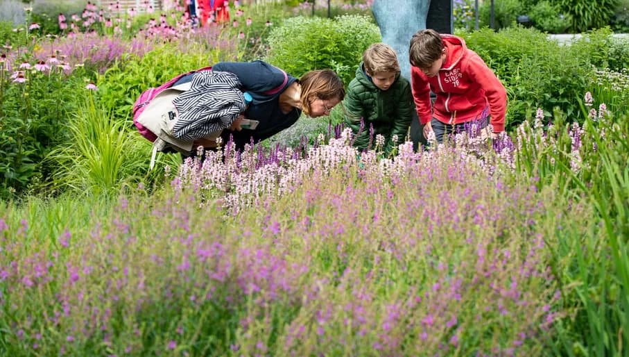 Family at the Singer Laren Museum garden in Laren