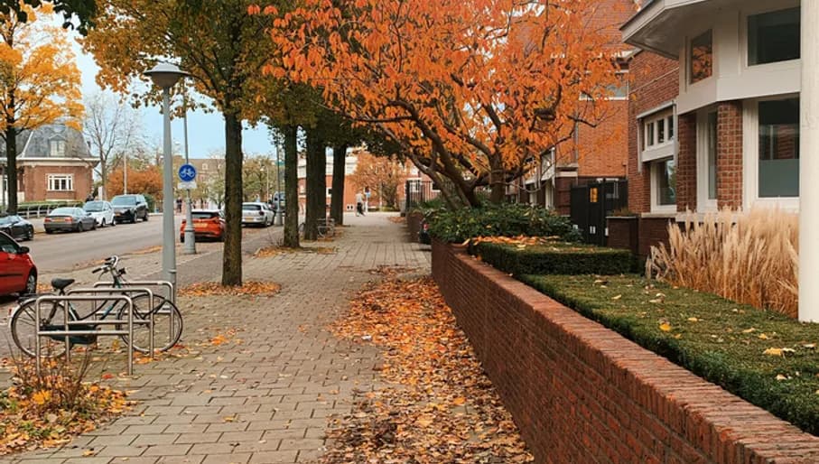 Neighourhood oud-zuid - Sidewalk