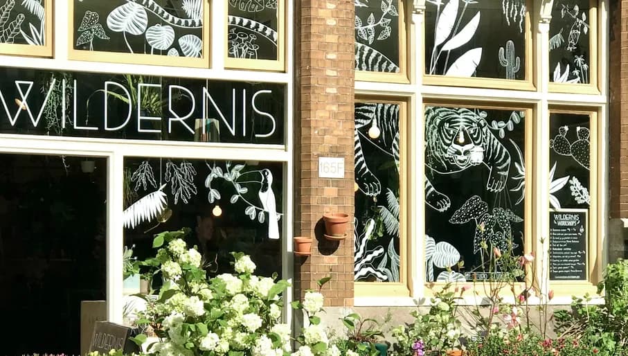 Wildernis plantshop exterior with decorated window