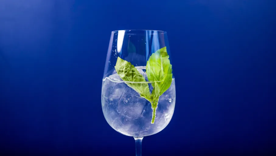 Mossel & Gin restaurant G&T cocktails