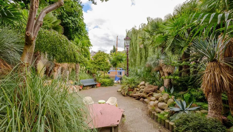Amsterdam, the Netherlands - AUG 14, 2017 : Tropical garden in the city center of Amsterdam, Prinseneiland