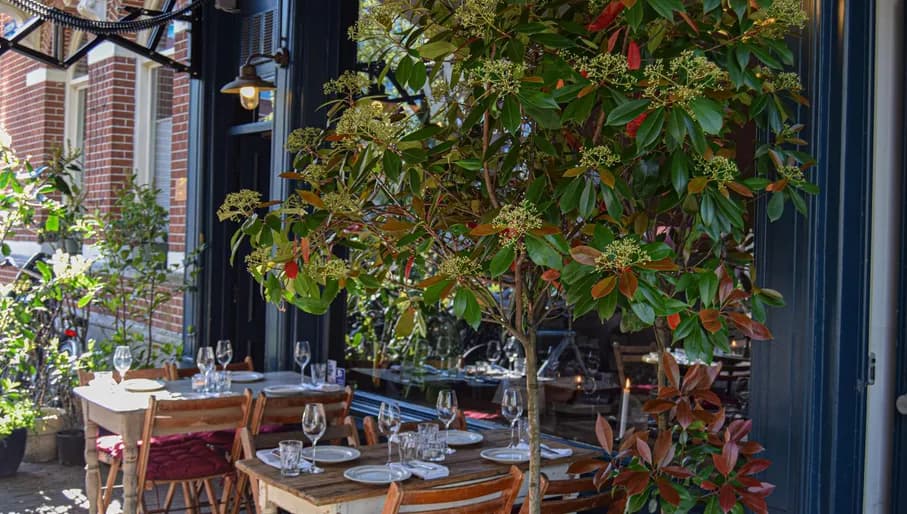 Outdoor Seating at seafood resto