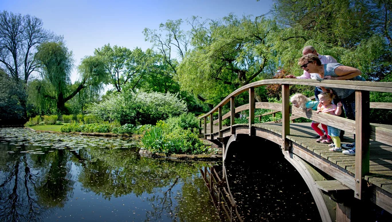 copyright robin utrecht