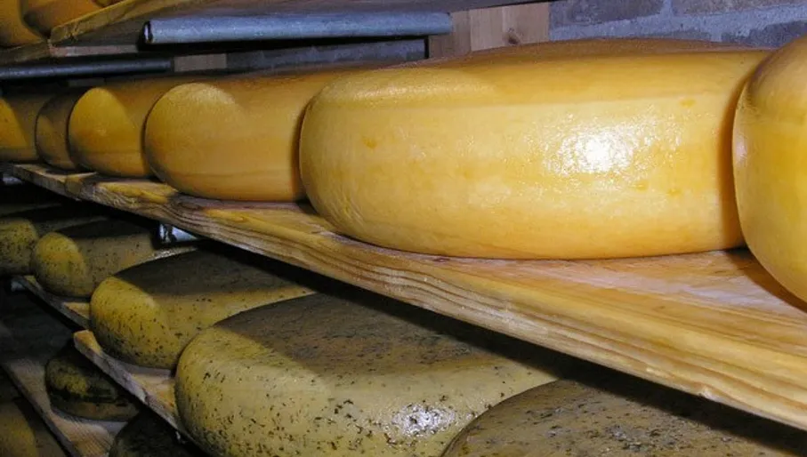 Kaasboerderij en Klompenmakerij Clara Maria in Amstelveen